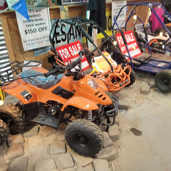 Trailmaster T110 ATV (3050 )