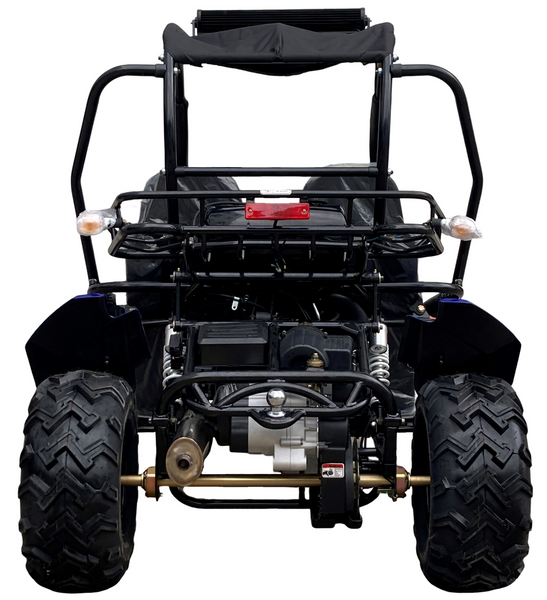 Blazer 200EX Go Kart Trailmaster