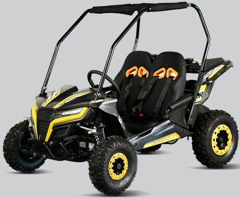 Cheetah 6 Youth Go Kart Trailmaster
