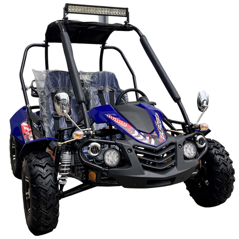 Blazer 200EX Go Kart Trailmaster