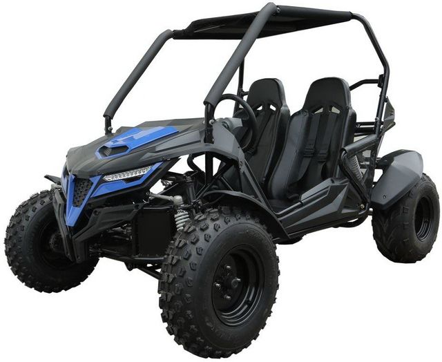 Cheetah 200 UTV Trailmaster