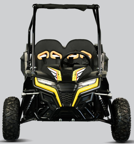 Cheetah 6 Youth Go Kart Trailmaster