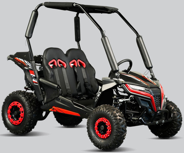 Cheetah 6 Youth Go Kart Trailmaster