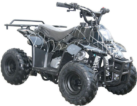 Trailmaster 3050C Mini Sport ATV