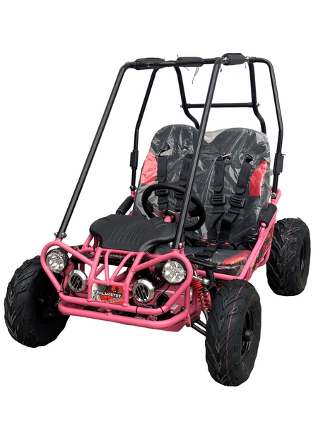Mini XRX/R+ go kart TrailMaster