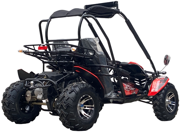 Blazer 200EX Go Kart Trailmaster