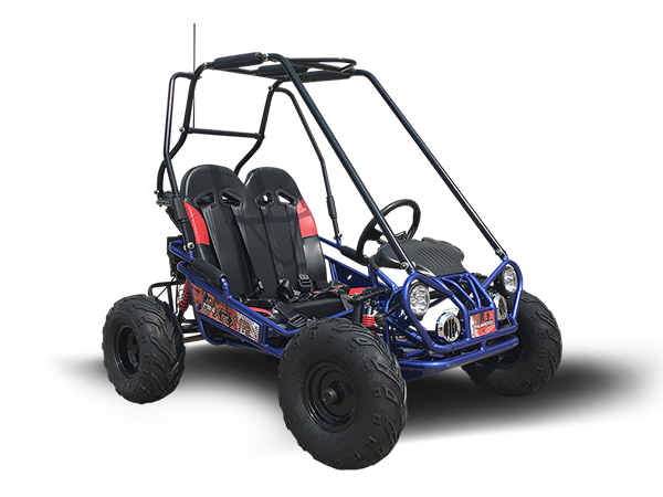 Mini XRX/R+ go kart TrailMaster