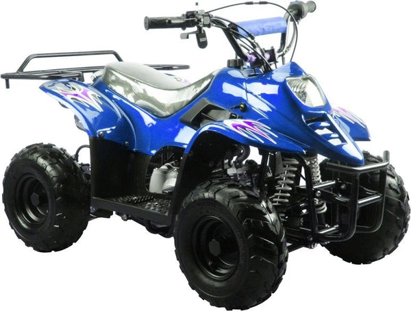 Trailmaster 3050C Mini Sport ATV