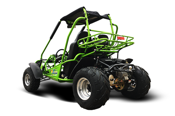 200 XRS Carb GO KART TrailMaster