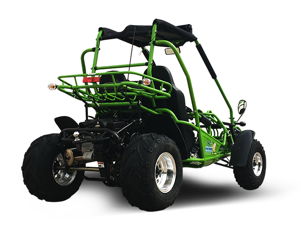 200 XRX Carb Go Kart TrailMaster