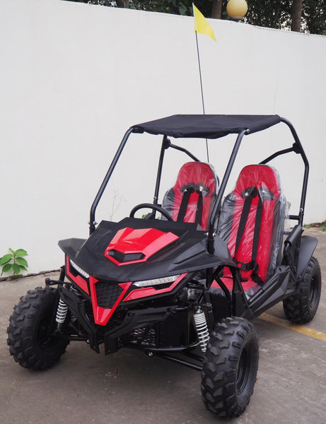 Cheetah 8 Go Kart