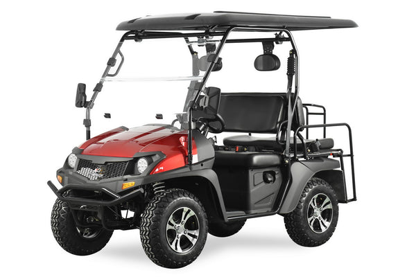 Trailmaster Taurus 200GX UTV