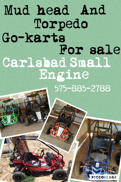 Blazer4 200EX EFI 4 seater Trail Master Go Kart